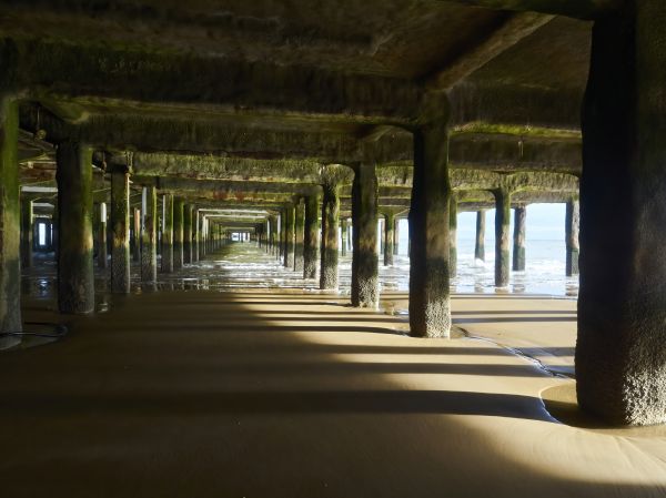 Cost of Concrete Pier Repair in Leesburg